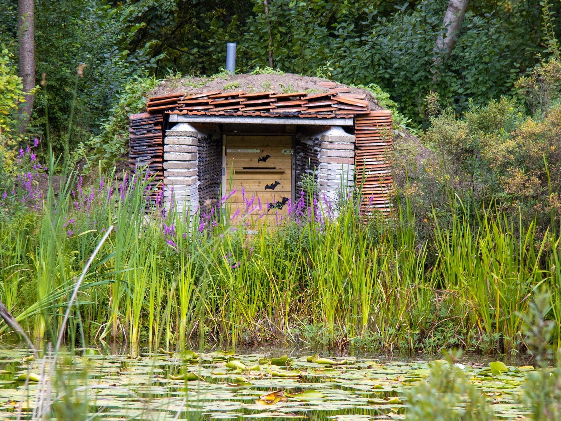 Heemtuin Rucphen biedt vol programma in september