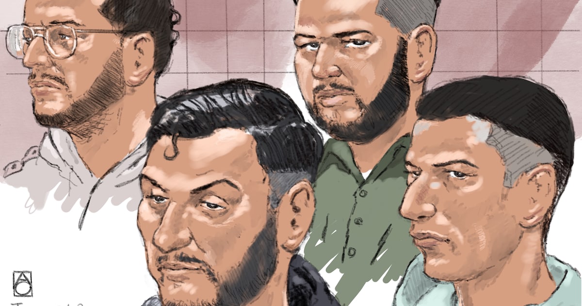 ‘Bullshit, bullshit’, roept Tarwekamp-verdachte Adil A. uit Oosterhout in de rechtbank als hij niet 