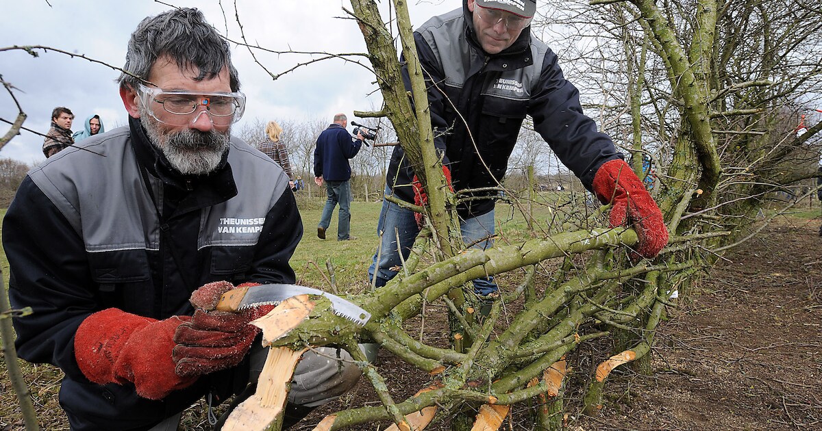 Koninklijke onderscheiding voor Toon Grutters uit Oeffelt