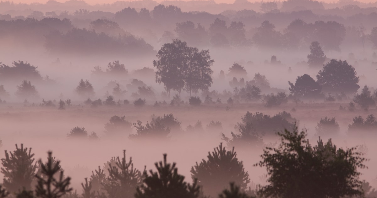 Opklaringen en lokaal nevel of mist in Halderberge in de nacht