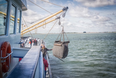 Mosselkwekers moeten alsnog achterstallige huur betalen, terwijl sector diep in de rode cijfers zit