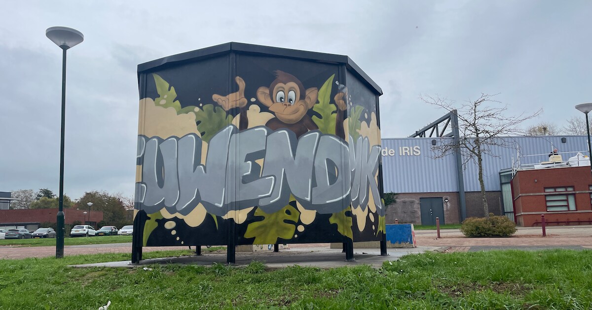 Graffiti-kunstenaar maakt iets moois van jongerenplek in Nieuwendijk