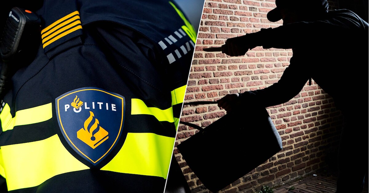 Vier straatroven in Park Zestienhoven: daders hebben het gemunt op jongeren