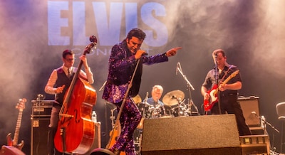 De Uit Tips van deze week: The King, hormonen met humor en een beetje folkverdriet