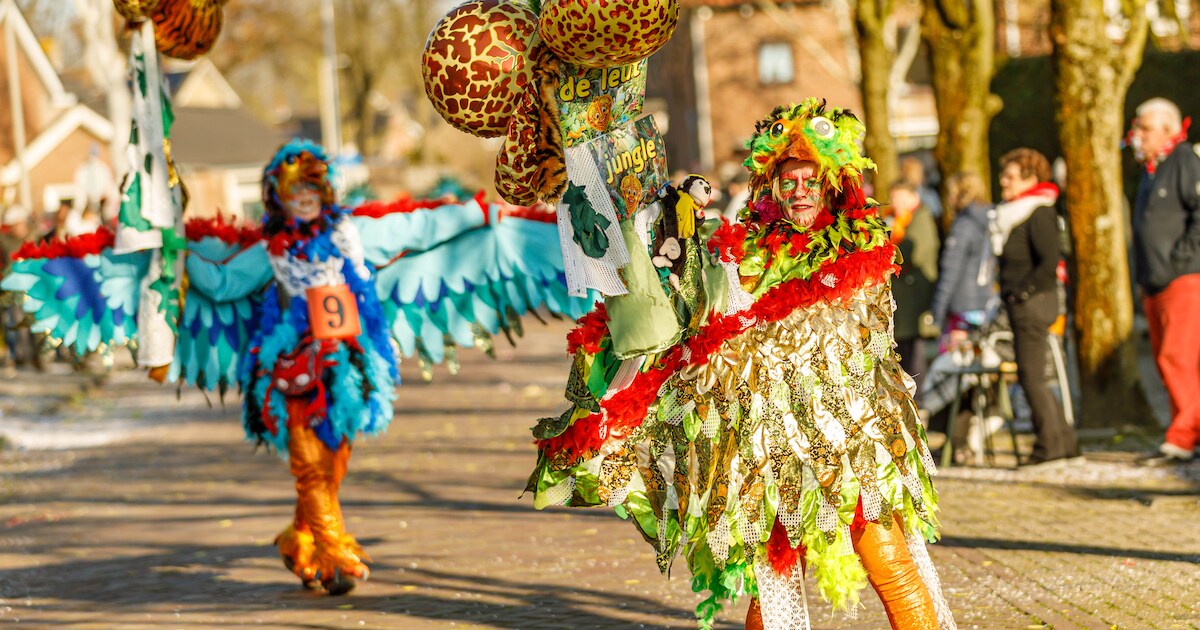 Bekijk hier de uitslag van de Brabantse Wal optocht in Halsteren - Oozo.nl