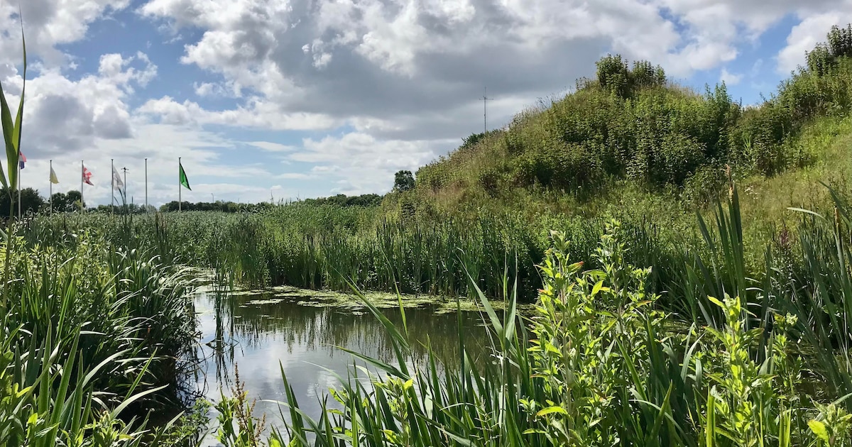 Hank organiseert reis door geschiedenis in Biesbosch | Altena