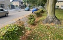 Een laag hekje, meteen de parkeerplaats en dan de weg dicht bij een kruising.
