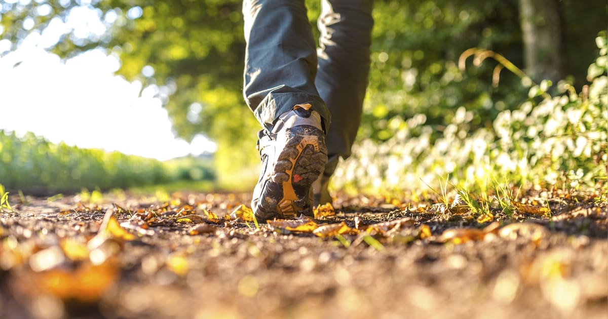 IVN Groene Zoom leidt excursie in in Wouwse Plantage langs Leemputten en Nieuwe Wereldbos