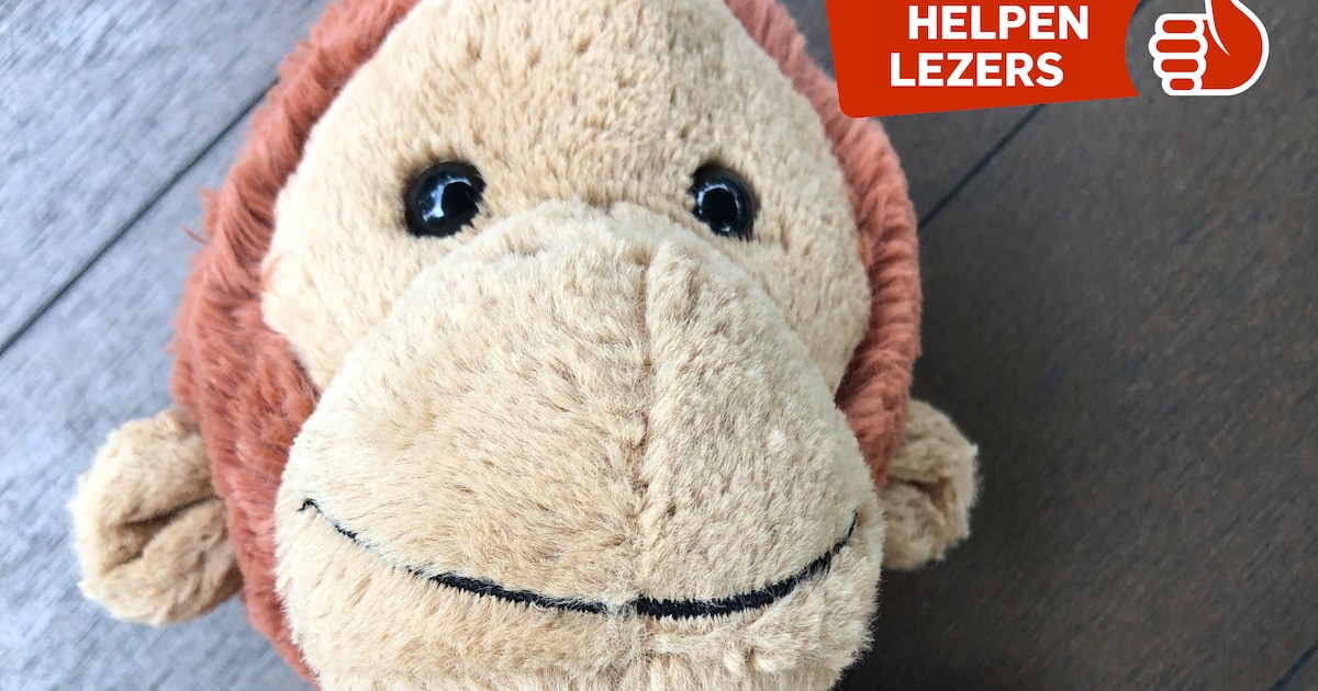 Vanaf geboorte al samen, maar nu niet meer: wie heeft dit aapje gevonden?