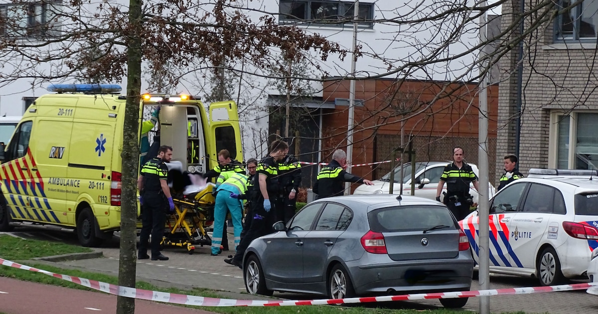 Agent die doorgedraaide man doodschoot in Etten-Leur 'moet voor leven  hebben gevreesd' | Etten-Leur | BN DeStem.nl