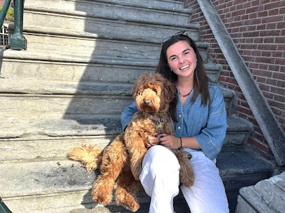 Krullen in de hoofdrol: Bredase Eva opent een trimsalon speciaal voor labradoodles
