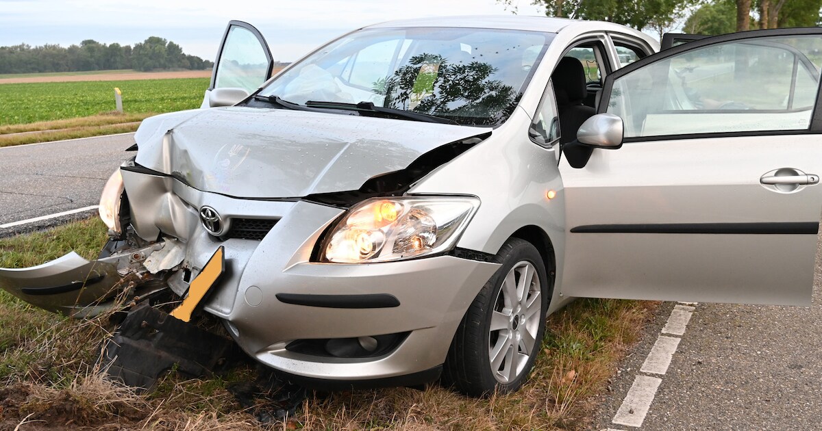 Vrouw verliest macht over het stuur: auto zwaar beschadigd bij botsing met boom