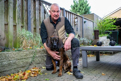 Hannoveraanse zweethond Buster uit Roosendaal snuffelt naar bedwantsen en is daarmee ook een Bug-Buster