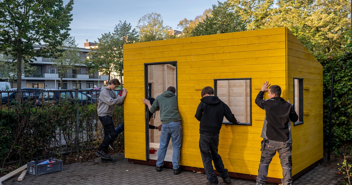 Leerlingen van ’t Rijks bouwen duurzaam ‘tiny house’ voor basisschool ...