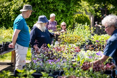 Gratis bloemzaadjes ophalen bij zaadjesmarkt in Spijkenisse