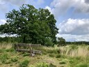 Grenspark Kalmthoutse Heide.