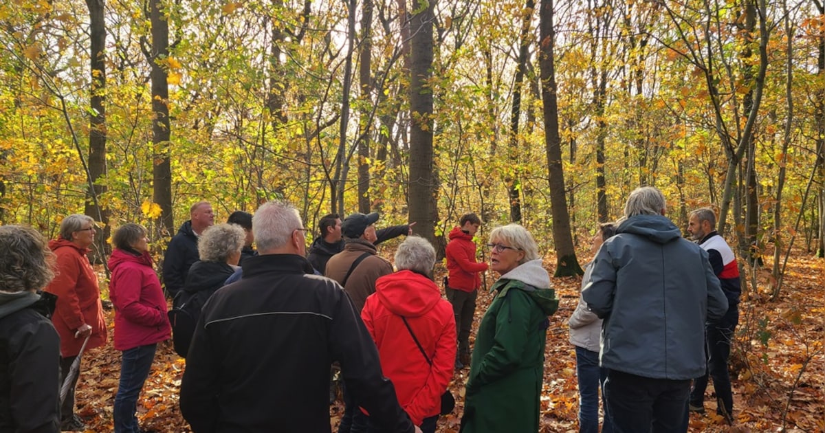IVN Tilburg houdt bomenexcursie op landgoed Heidepark-Vredelust