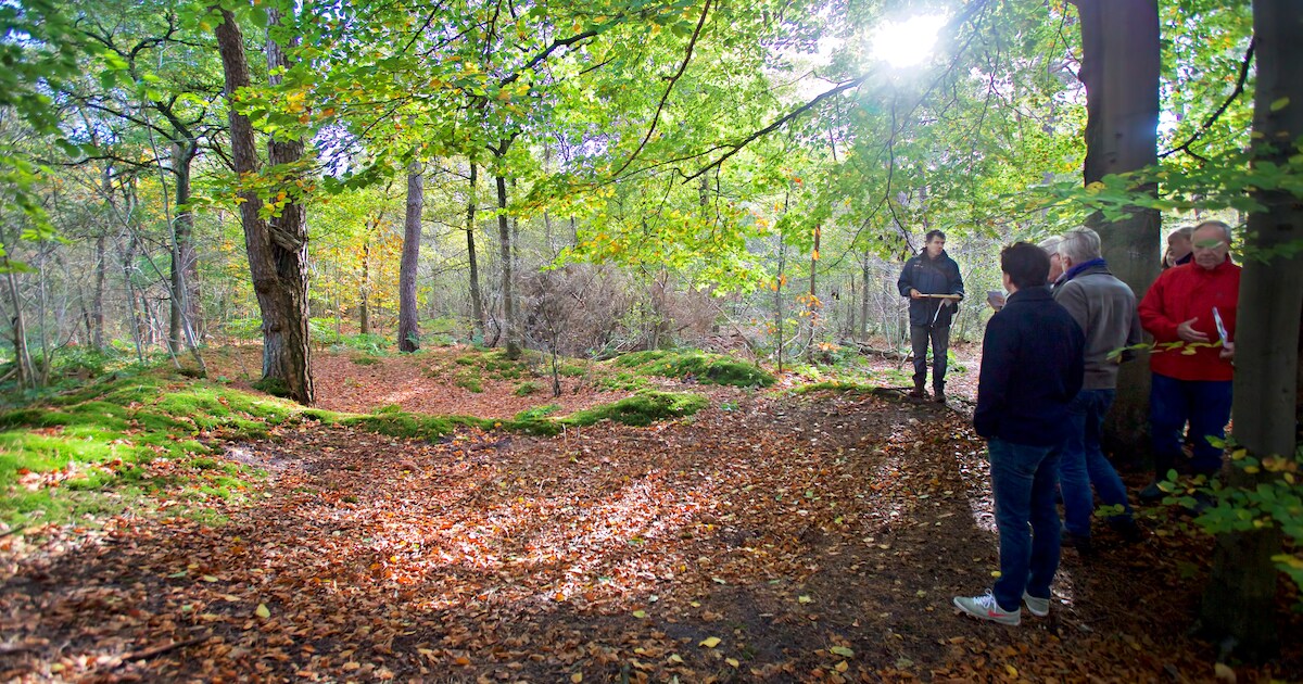 Overblijfselen Kamp Rijen: 'Met wandeling komt een tekening tot leven ...