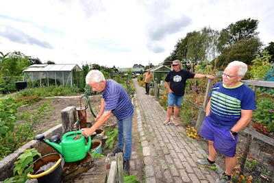 Eindelijk een regenbui in de moestuin: ‘Die grond blijft gortdroog’
