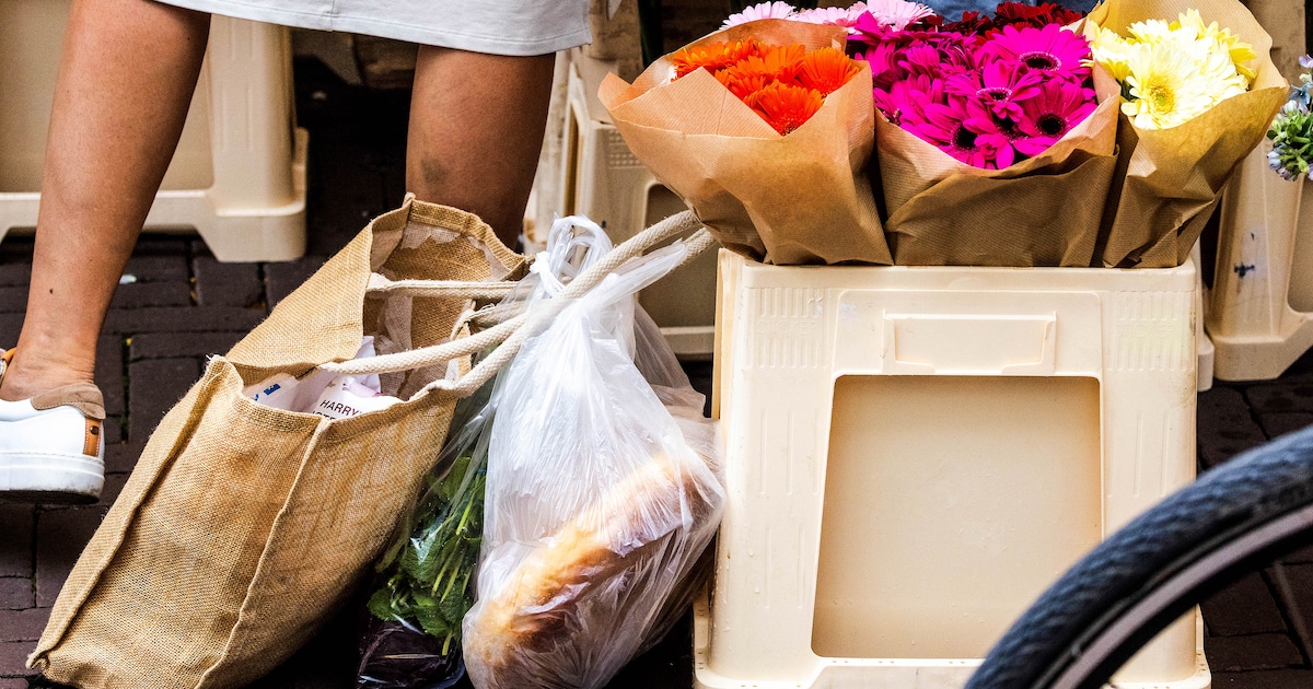 Ontmoeten op de Gastelse zomerfair