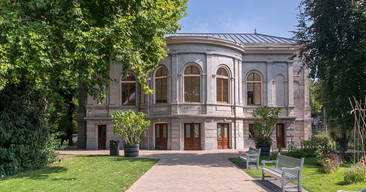 Met Oosterscheldewater gevuld aquarium van Artis in juni weer open