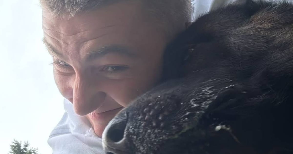 de-hond-van-mart-hoogkamer-is-gevonden