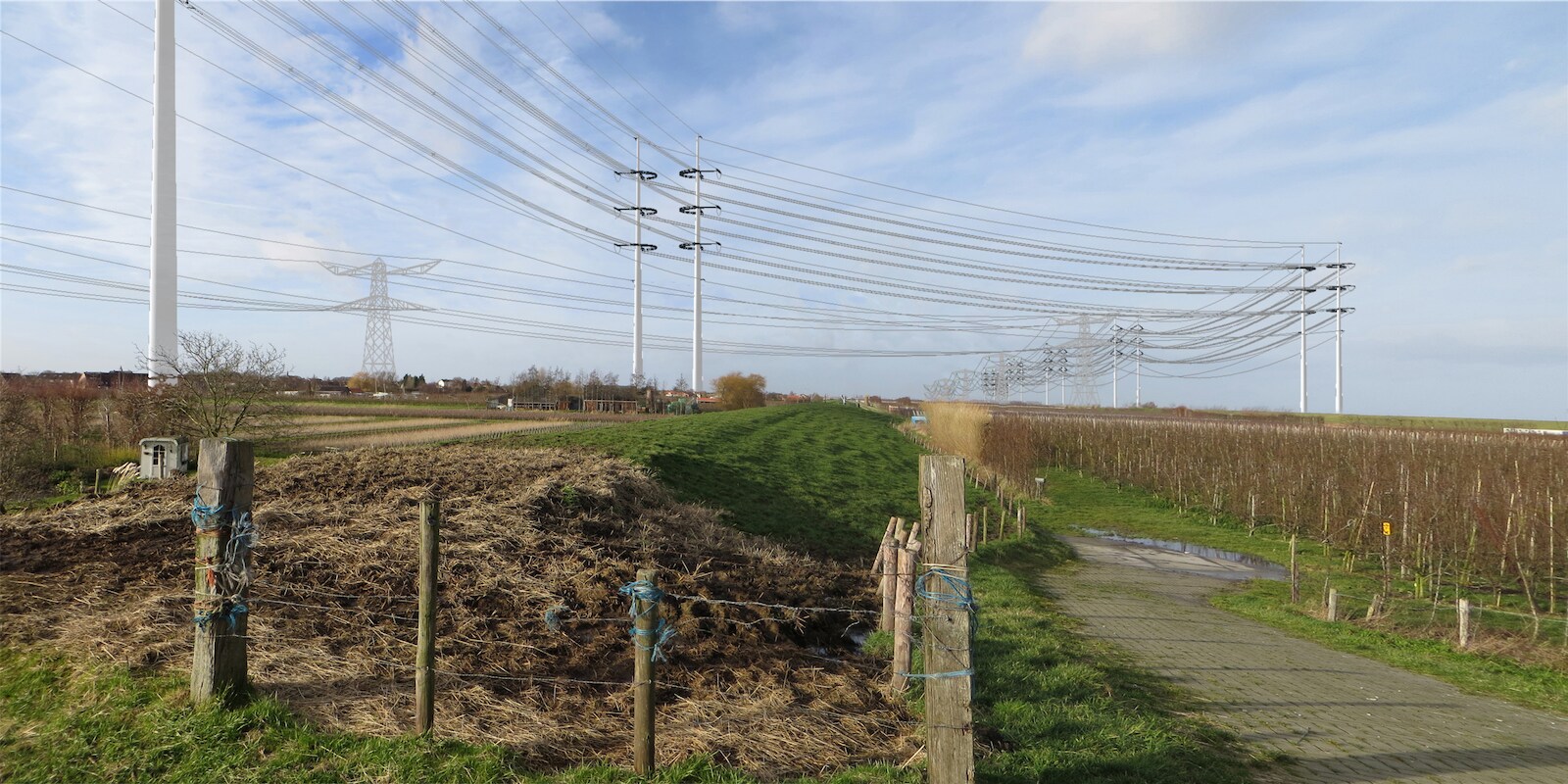 Deze fotomontage laat zien hoe de noordkant van Krabbendijke eruit komt te zien. Op de voorgrond de Wintrackmasten. fotomontage Tennet