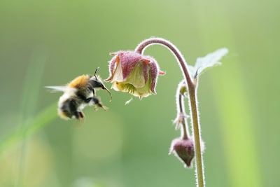 Genieten van natuur rondom Breda: wat kunnen onze natuurgebieden aan?