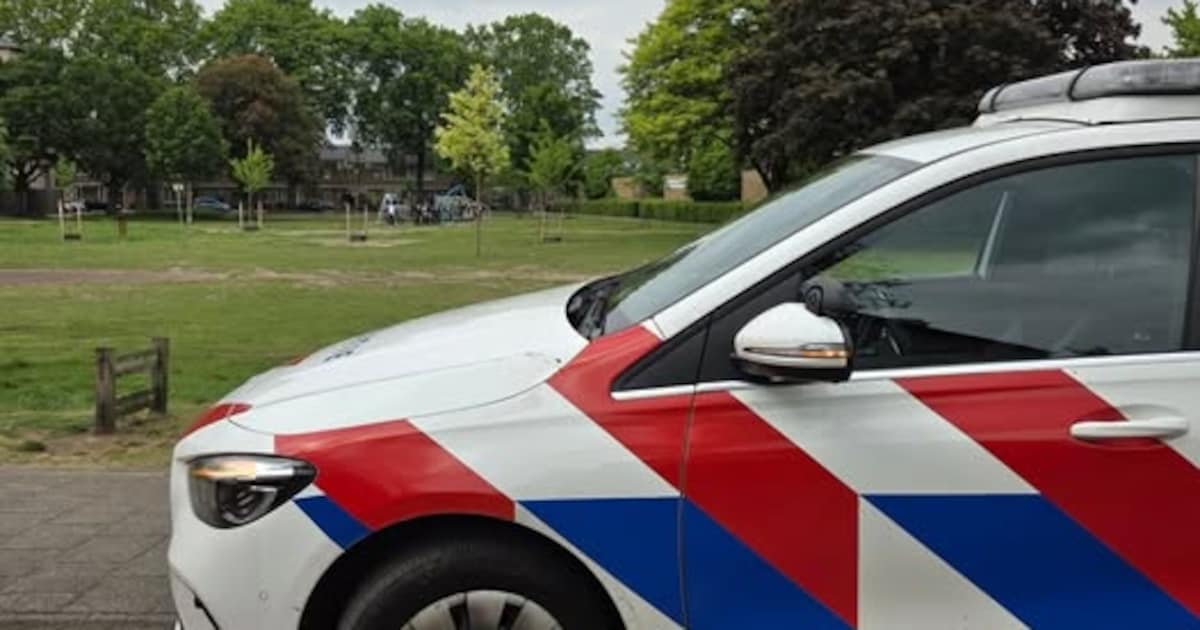 Ruzie tussen jongeren loopt uit de hand in Helmond: slachtoffer gewurgd of geslagen, 15-jarige opgep