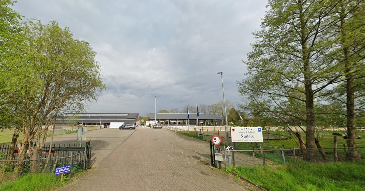 Conflict over manege Breda loopt steeds hoger op: ‘Staaltje van spijkers op laag water zoeken’
