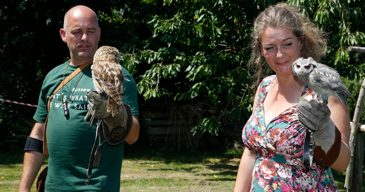 Baby Snørry steelt de show bij roofvogelboerderij Het Uilennist in Ossenisse