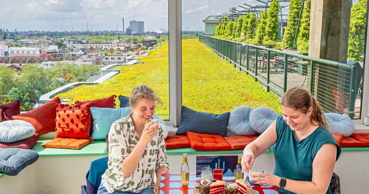 Rotterdammers gaan het dak op: ‘Het is een goede afwisseling met wat er ...
