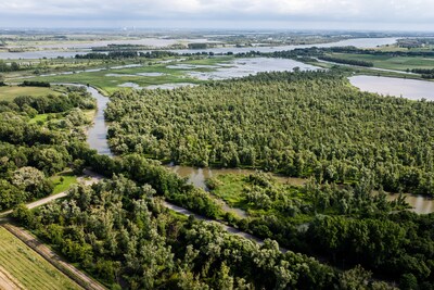 Jarenlang houdt ‘schreeuwmeneer’ de Biesbosch in zijn greep: ‘Moet een keer stoppen’
