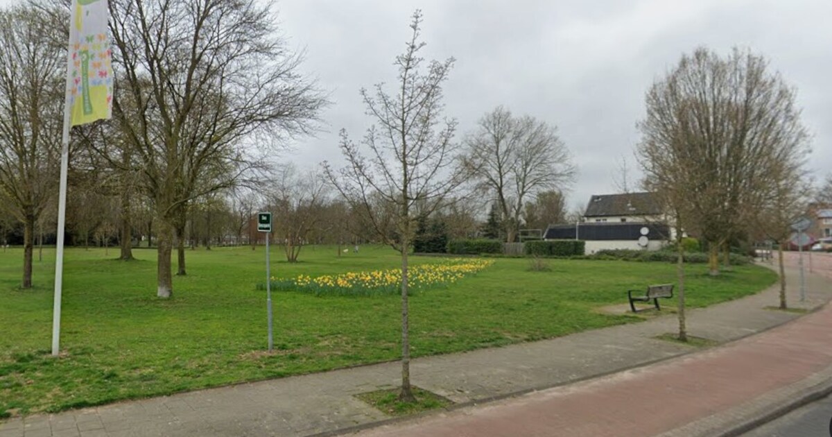 Raad Valkenswaard twijfelt over plannen voor nieuw Steendrukmuseum op LTS-terrein: ‘Stuk grond dat w