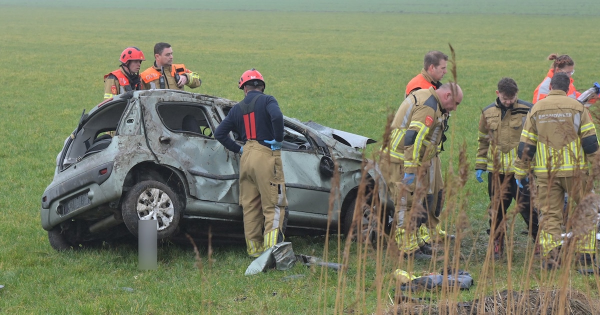 Man (41) overleden bij botsing tegen boom in Terheijden, auto belandt in weiland