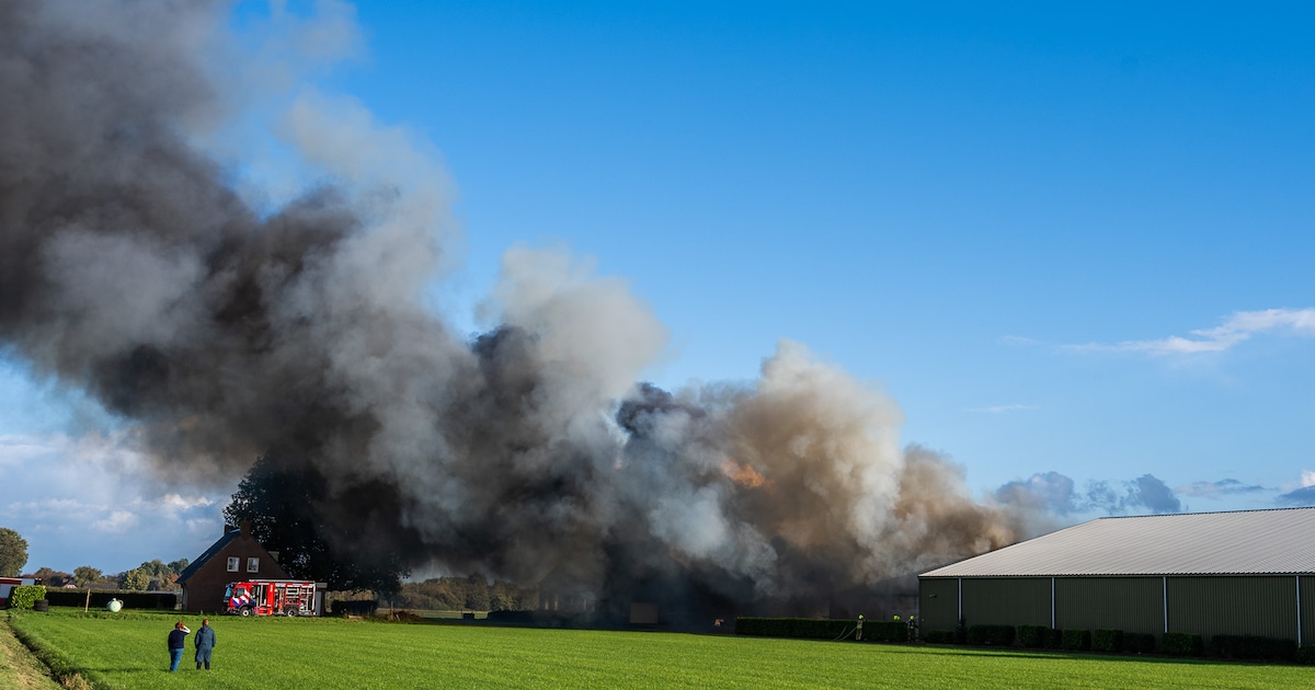 Grote brand bij boerenbedrijf in Terheijden, zwarte rookwolken van veraf te zien