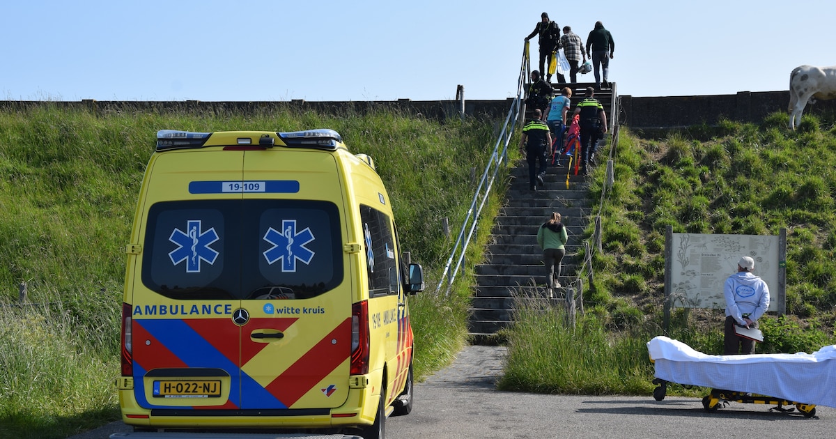 Duiker gewond geraakt bij Zuid Langeweg in Dreischor