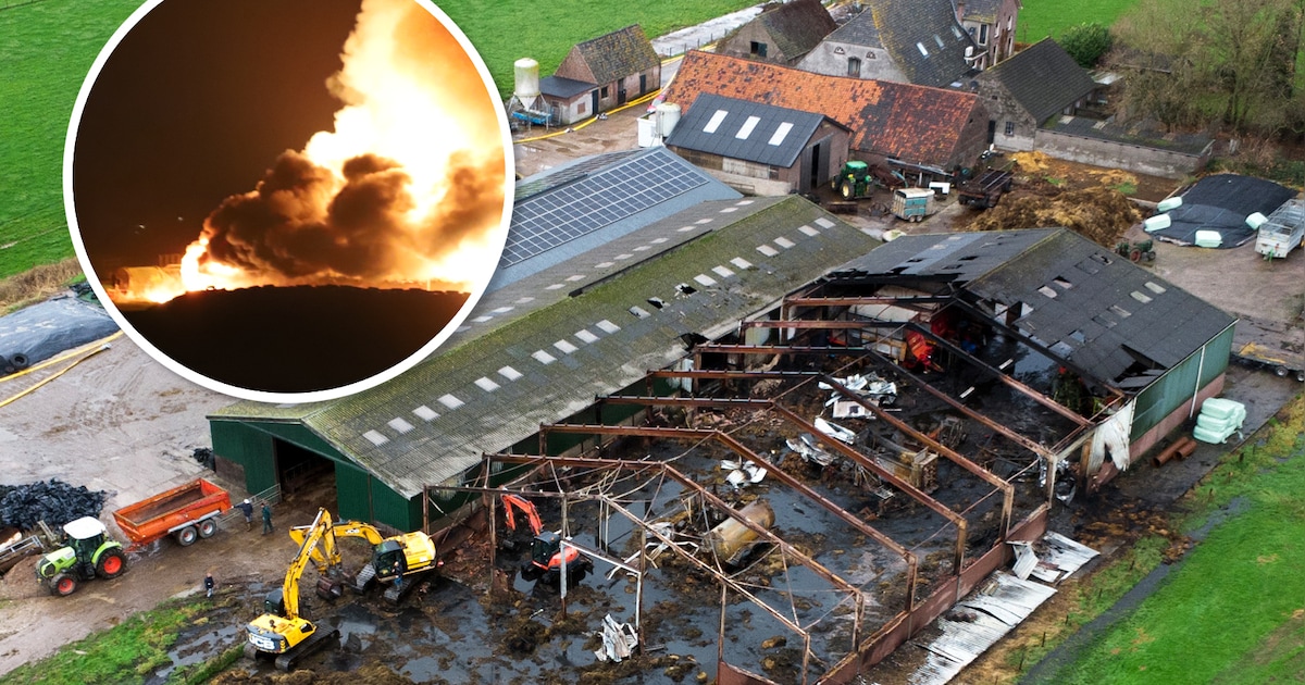 Gerda verloor haar man en nu ook een deel van haar boerenbedrijf: ‘De machines van opa zijn in rook 