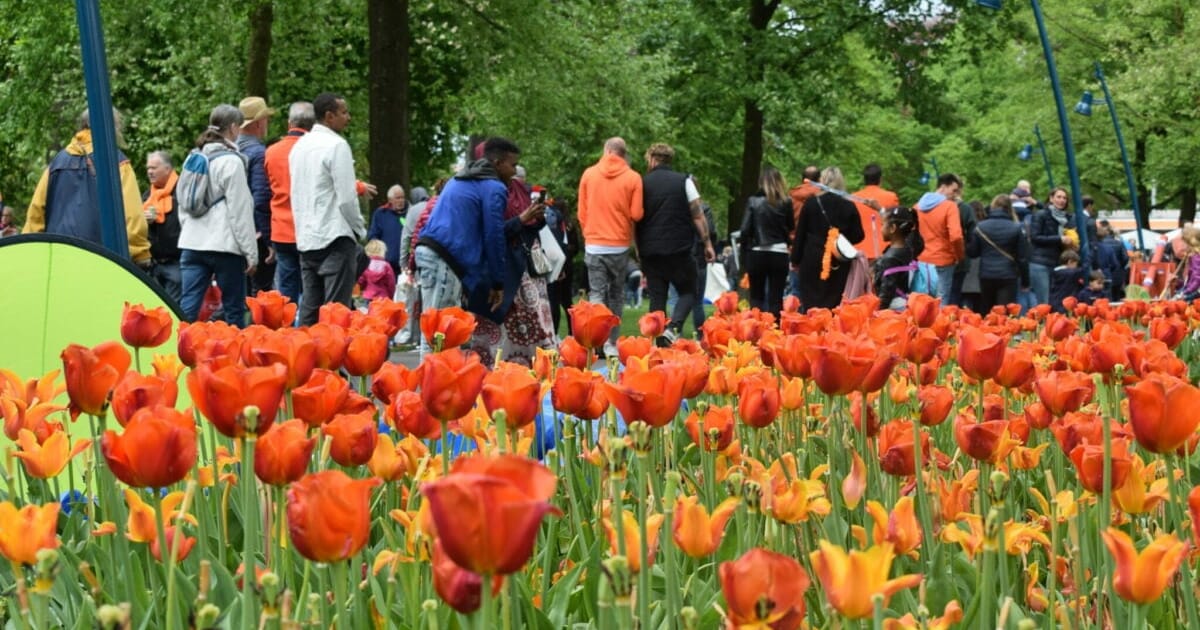 Fiets parkeren, plassen en meer: 5 x onmisbare tips voor Koningsdag in Breda