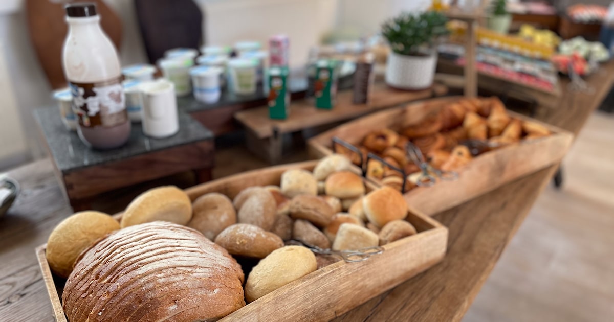 Ontbijtbuffet in LDC De Essentie in Essen