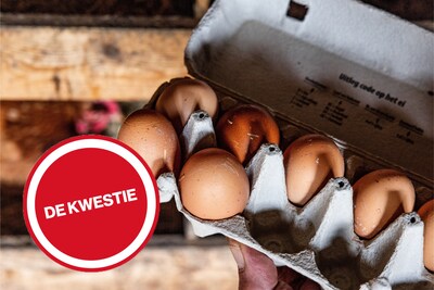 Tikt u nog met een gerust hart uw eitje uit eigen tuin?