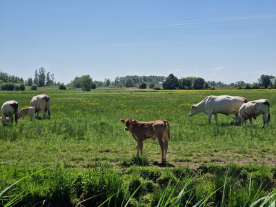 Dordtse Hel- en Zuilespolder: een geliefd gebied dat dreigt te verdwijnen door politiek besluit