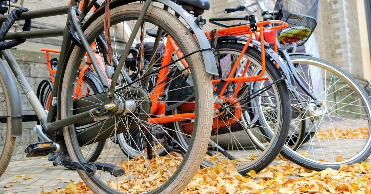 Fietsie foetsie! Zoveel fietsen werden vorig jaar gejat in Bergen op Zoom