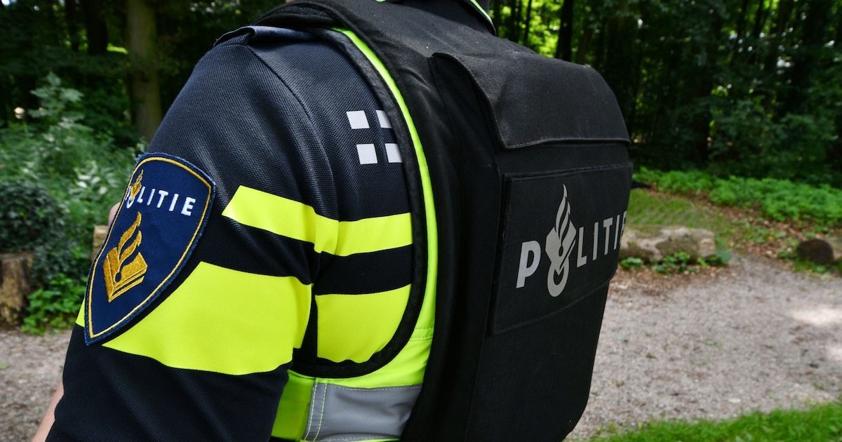 Politiemedewerker uit Werkendam ontslagen, verdacht van meerdere zedenmisdrijven
