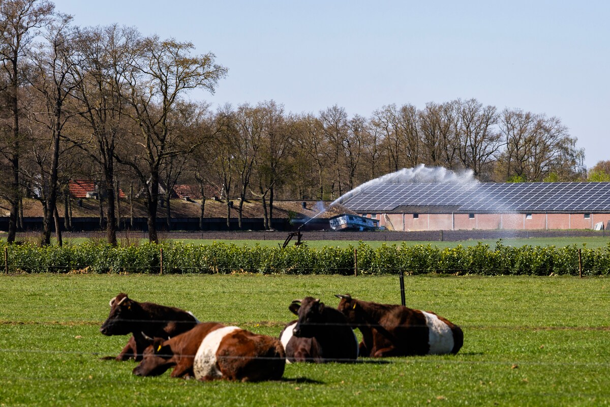 Een beregeningsinstallatie in bedrijf. Vanwege droogte in het voorjaar moeten akkerbouwers al vroeg sproeien
