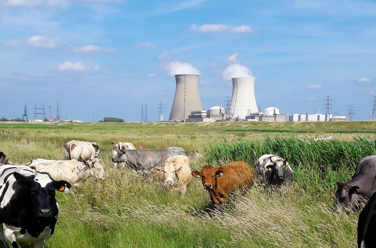 De kerncentrales in Doel.