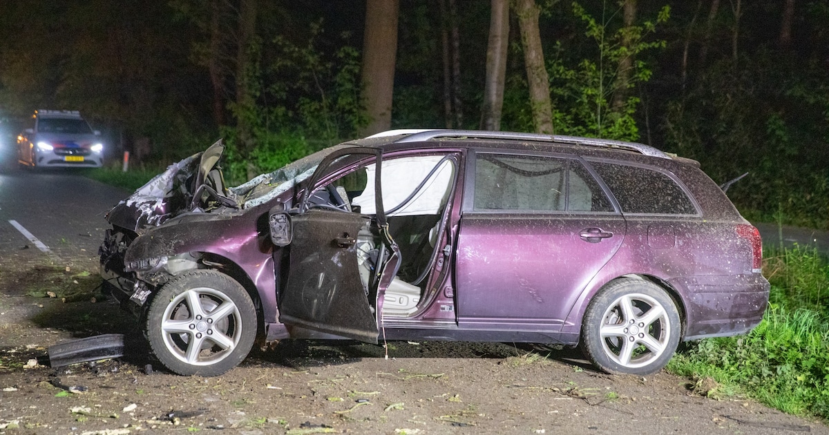 Man (37) uit Roemenië overleden bij ernstig ongeval in Wouwse Plantage: auto botst tegen boom