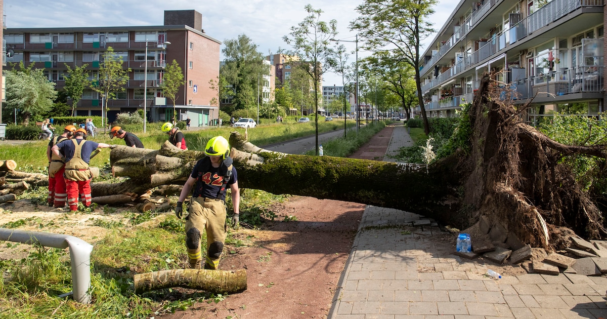 Minder schade in Etten-Leur door noodweer vorig jaar