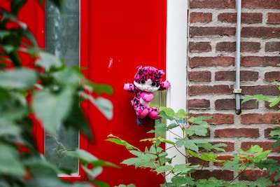 Pleegvader over mishandelen Vlaardings meisje (11): ‘Jammer dat er eenzijdig beeld is ontstaan’