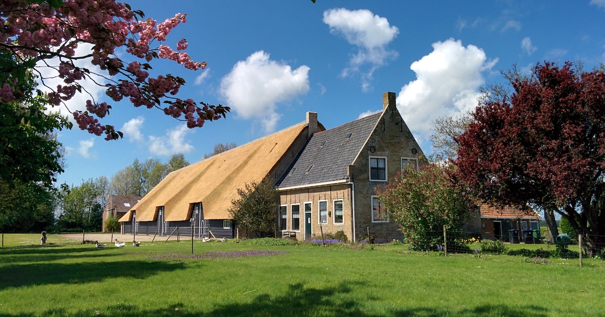 Gezocht: exploitant voor een van de oudste, mooiste en best bewaarde boerderijen van Zeeland